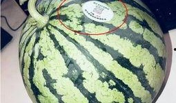 赣州网红吃瓜,揭秘当地美食圈的热辣话题